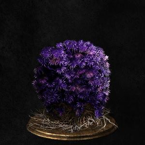 Purple Moss Clump