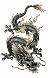 Sheik Dragon Form
