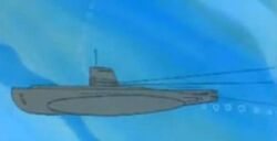Narwhal