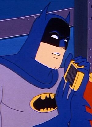 Bat communicator