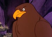 Hawk