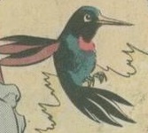 Hummingbird