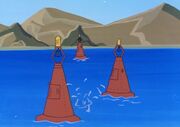 Buoy