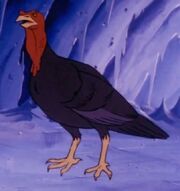 Turkeys