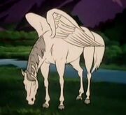 Pegasi