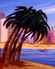 Palm tree