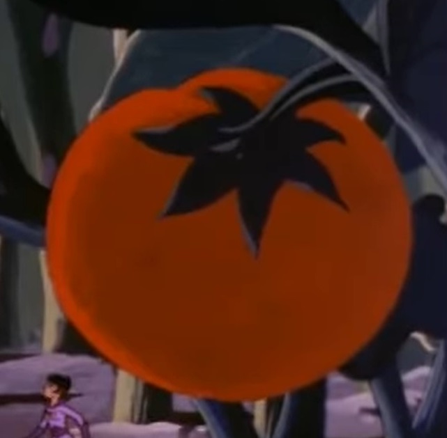 Tomato