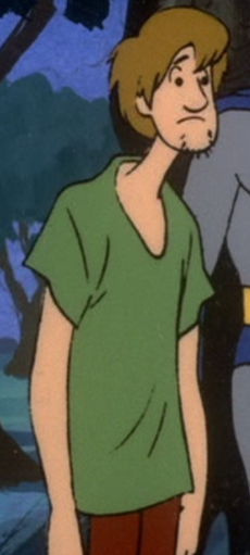shaggy rogers superfriends wiki fandom shaggy rogers superfriends wiki fandom