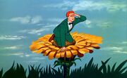 Dandelion