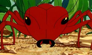 Red ant