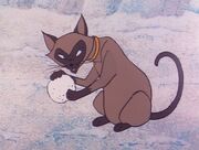 Snowball