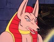 Anubis' species