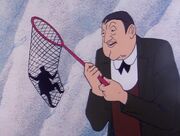 Butterfly net