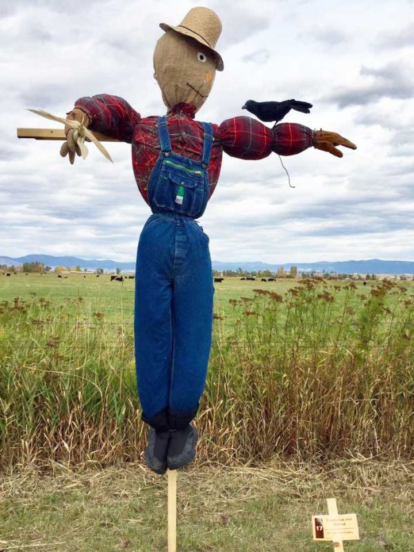 Image result for scarecrow