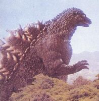 Radogoji