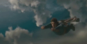 Vuelo