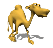 Camello
