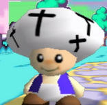 Toad priest