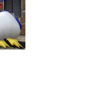 Pingu Supermarioglitchy4 Wiki Fandom