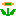 Fiore di Fuoco