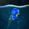 Toad Blu Pinguino