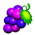 YS Uva