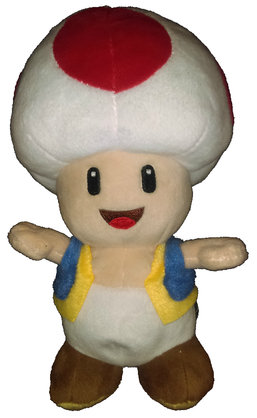 toad latest version
