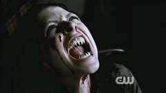 Vampire