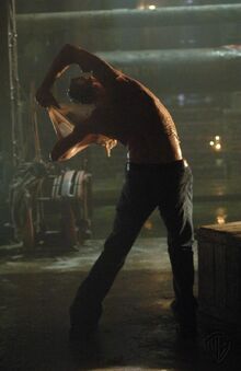 Shapeshifter