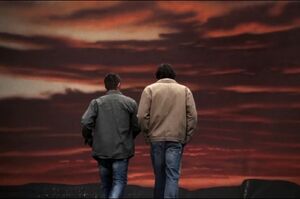 IntoTheSunset
