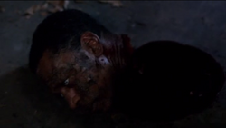 Roy Dobbs' head