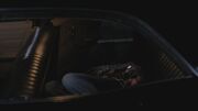 Chet in the trunk