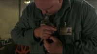 LuthersKitty