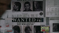 WantedBello