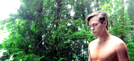 Jackinforest