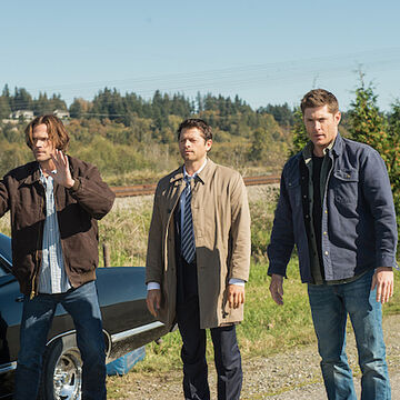 Lotus Supernatural Wiki Fandom