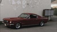 WarMustang
