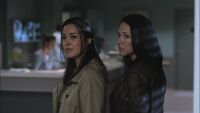 SPN 1014