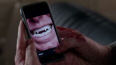 NachzehrerFangs