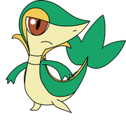 Snivy 34