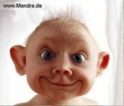 Funny baby