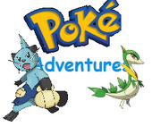 Poke adventures