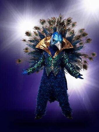 Peacock Mask (The Masked Singer) | Super Smash Bros. Bowl Wiki | Fandom