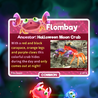 Flombay Super Starfish Wiki Fandom