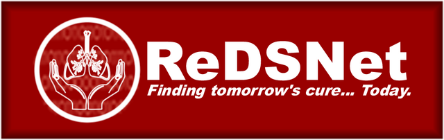 File:ReDSNet 2.png