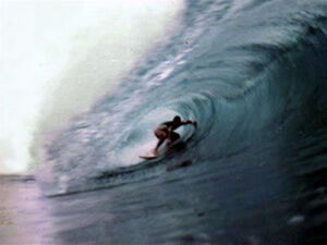 Monty webber tube