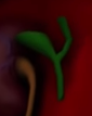 Gallbladder