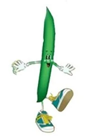 Vegetal.jpg