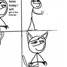 User Blog Garfielfstuff Hmm Today I Will Surreal Memes Wiki Fandom