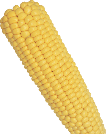 Corn Surreal Memes Wiki Fandom